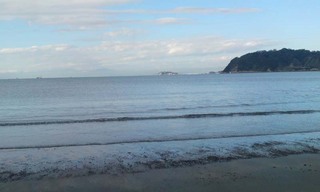 111126_hanateru_c.jpg