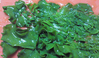 120326_hanateru_e.jpg