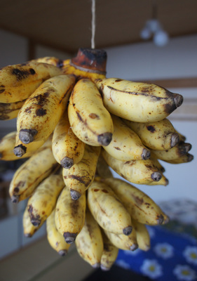 130709_hanateru_banana.jpg