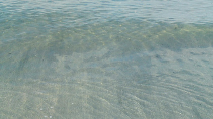131106_hanateru_b.jpg