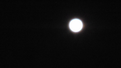 140117_hanateru_moon.jpg