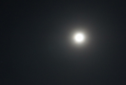 140613_hanateru_honeymoon.jpg