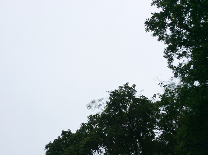 151010_hanateru_b.jpg
