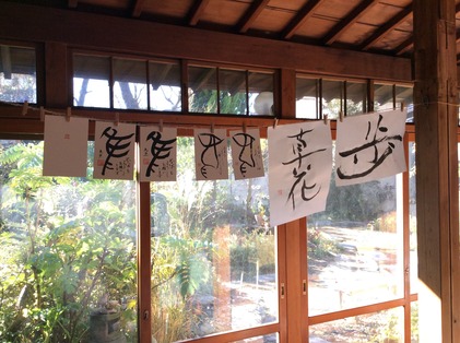 161216_hanateru_c.jpg