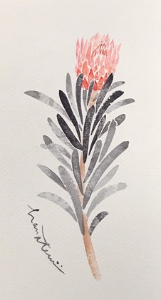210415-hanateru-drawing01.jpeg