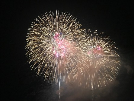 250601_hanateru_zusinohanabi.jpeg