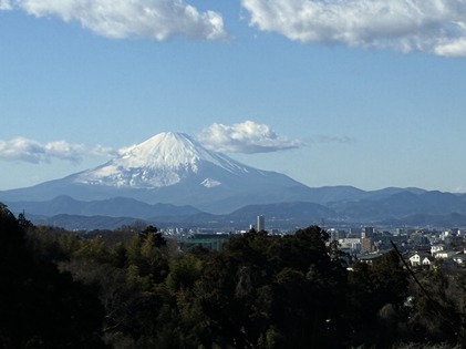 260103_hanateru_fujiyama.jpeg